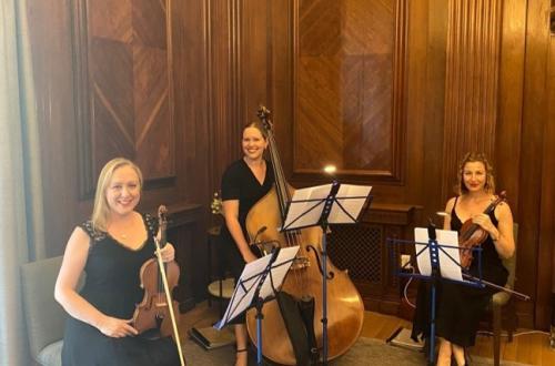 The String Trio of 2 violins and double bass pictured in the Westminster Room at The Old Marylebone Town Hall